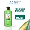 Herbal Essences Bio:renew Potent Aloe + Avocado Oil Hair &