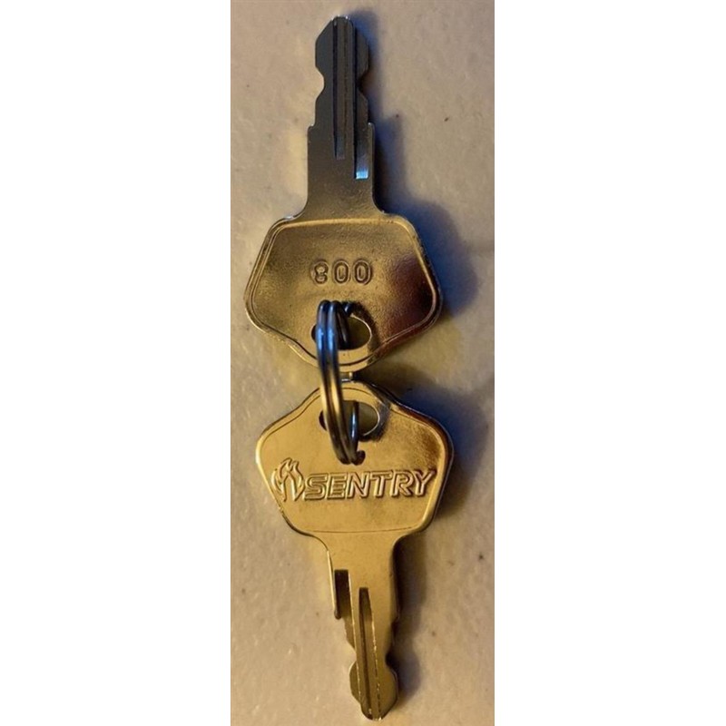 Sentry Safe/Schwab 001-020 Replacement Key Series 009