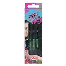 Bull's Ricky Evans Shell Coated Green Brass Steel Tip Darts
