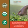 Kutaj (Holarrhena Antidysenterica, Kutaja) ~ 100 vegicaps ~ Safety Tested