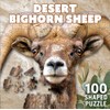 Desert Bighorn Sheep 100 pc