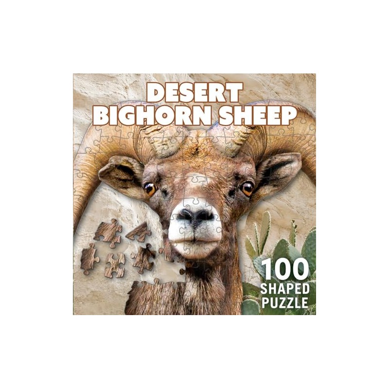Desert Bighorn Sheep 100 pc