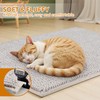 Pieviev Chenille Cat Litter Mat for Litter Box, 28"x22" Soft