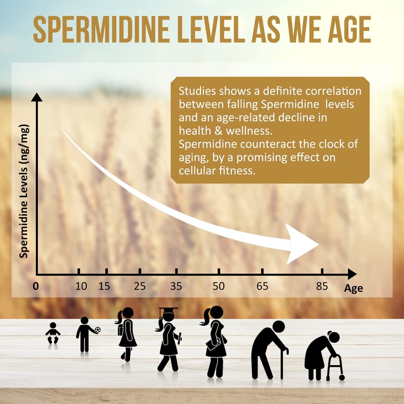 Spermidine Supplements 13mg - 1300mg Wheat Germ Extract Capsules Potent