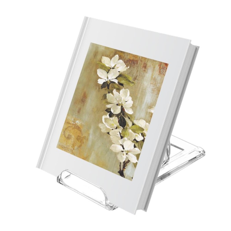 TERDEWE 10 Pack Acrylic Book Stand for Display Adjustable Clear