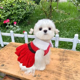 Idepet Christmas Dog Dress, Santa Claus Dog Skirt Xmas Puppy Costume Christmas Outfit Dog Girls Winter Clothes Small Pet Red Skirt Suit (X-Large, Belt)