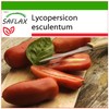 SAFLAX - Tomato - San Marzano - 10 Seeds -