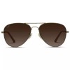 WMP Eyewear Maxwell | Polarized Sunglasses - Gold Frame/Black Lens