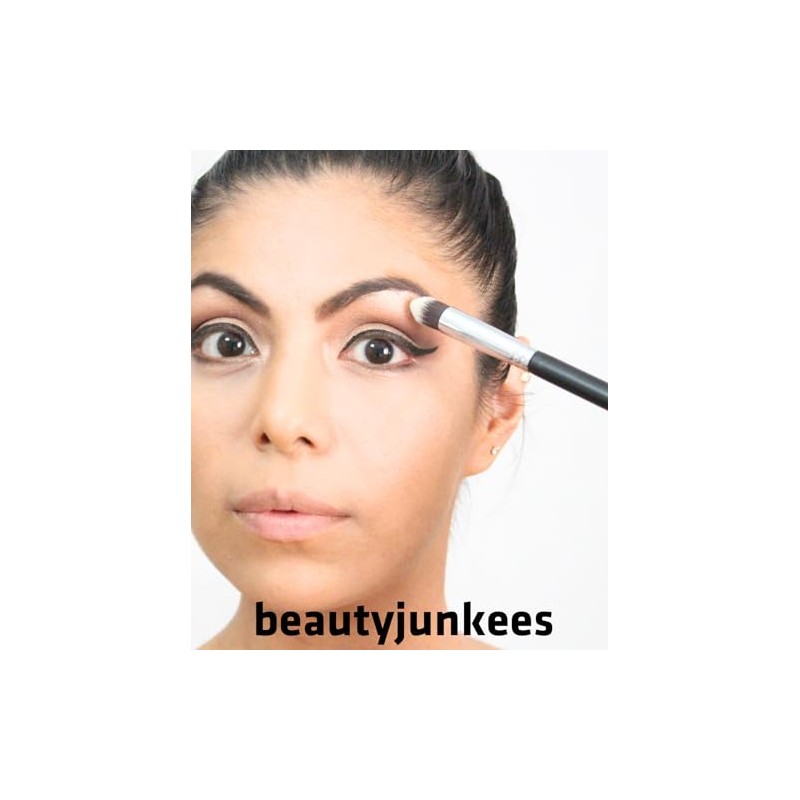 mini Kabuki Makeup Brush Set with Free Case: Includes Blending,