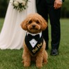Brosash Dog Tuxedo with Bow Tie – Small Dog Wedding