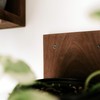 Daniel's Plants 3 Pack Midcentury Modern L Shaped Floating Shelves