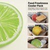 PE Ice Packs, Fruit Slice Design, Reusable Gel Cold Packs,