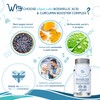 Boswellic Acid & Curcumin Booster Complex – 1 Month Supply,