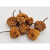 Scotch Bonnet 5+ Dried Peppers