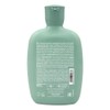 Shampoo Alfaparf Semi di Lino Energizante Anticaída para Cabello Debilitado