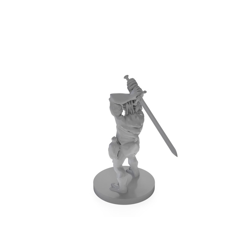 Dragonborn Barbarian with Sword Tabletop DND Gaming Miniature
