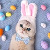 Easter Cat Collar with Bow Tie 2Pack Adjustable Breakaway Safety