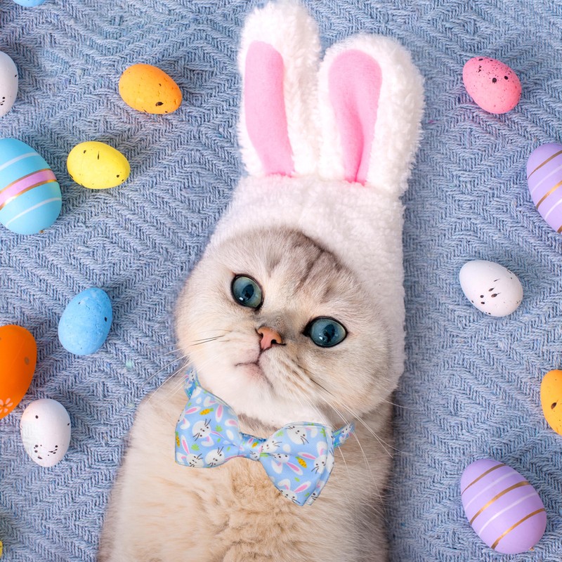 Easter Cat Collar with Bow Tie 2Pack Adjustable Breakaway Safety