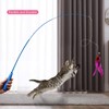 12PCS Interactive Kitten Toys, Retractable Indoor Cat Wand Toys with