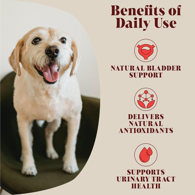 Cranberry for Dogs & Cats | Advanced Bladder & Kidney