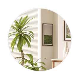 Round Bathroom Mirror 24 Inch,White Circle Wall Mirrors with Tempered Glass for Bedroom Living Room or Entryway Modern Decor