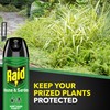 Raid House & Garden Bug Killer Aerosol Kills Bugs on