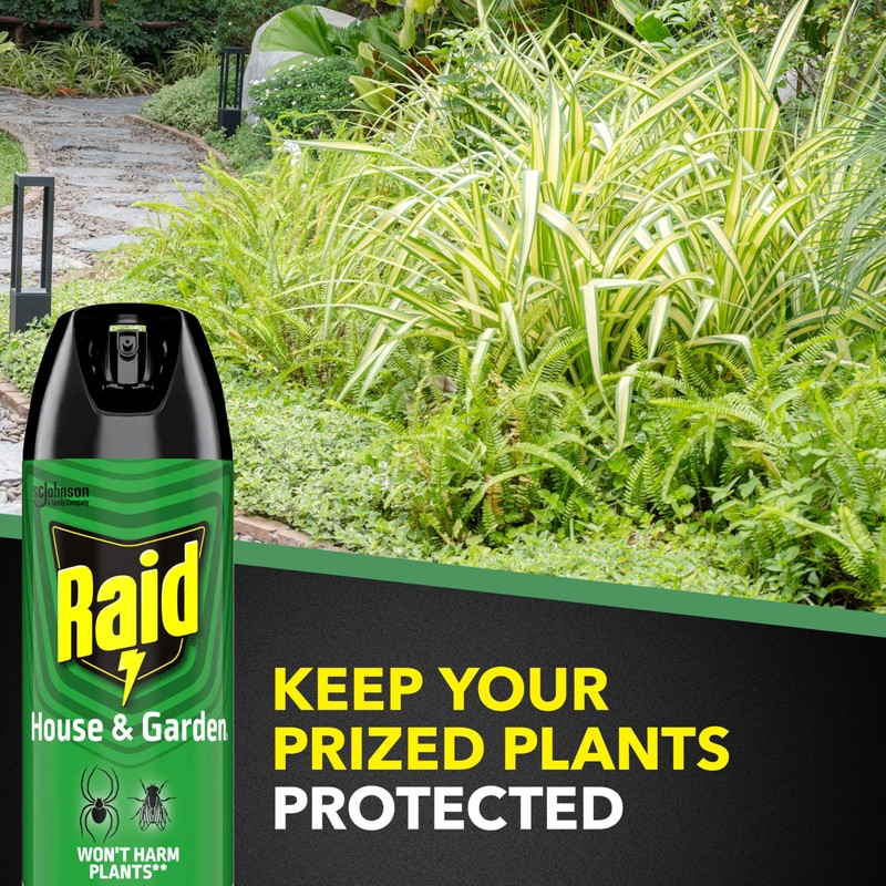 Raid House & Garden Bug Killer Aerosol Kills Bugs on