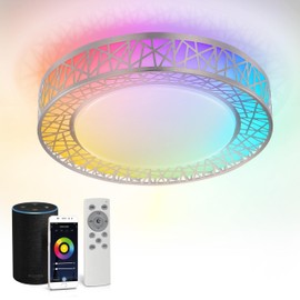 ASD 16 Inch Smart RGBW Flush Mount Ceiling Light with Remote - Brushed Nickel 28W 120V 2700-6500K Dimmable Ceiling Light Fixture, WiFi App Control RGB Lights, Alexa & Google Assistant - ETL