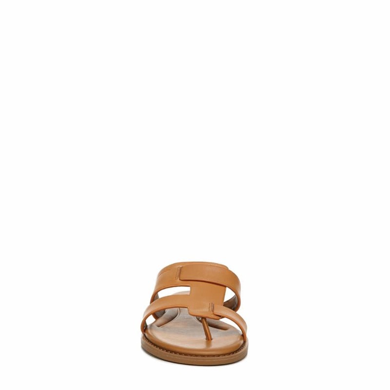 Franco Sarto Gretta Camel 6 M