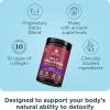 Ancient Nutrition Polvo De Colágeno Sin Sabor 14.6 Oz
