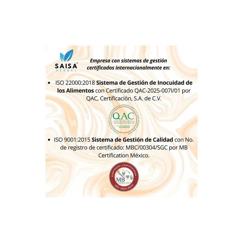 Hongo Melena De León 240 Cápsulas Lions Mane Mushroom Supplement,