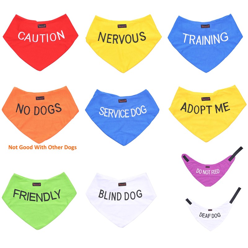 ADOPT ME (I Need A New Home) Yellow Colour Coded