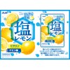 Asahi Group Food Salt Lemon Candy 2.1 oz (62 g)
