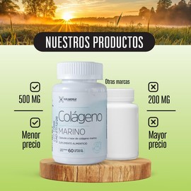 Colágeno Marino  Kit 3 Frascos en Cápsulas de 500 mg  60 Cápsulas Cada Uno  Suplemento Alimenticio Natural  Alta Biodisponibilidad                    