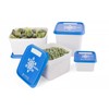 Amuse Fresh Storage Box Set Alaska, 3 x 1200ml freezer