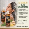 Shampoo Rapunzel Romero Jengibre Estimula Crecimiento