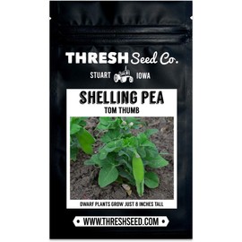 Tom Thumb Pea - 25 Seeds