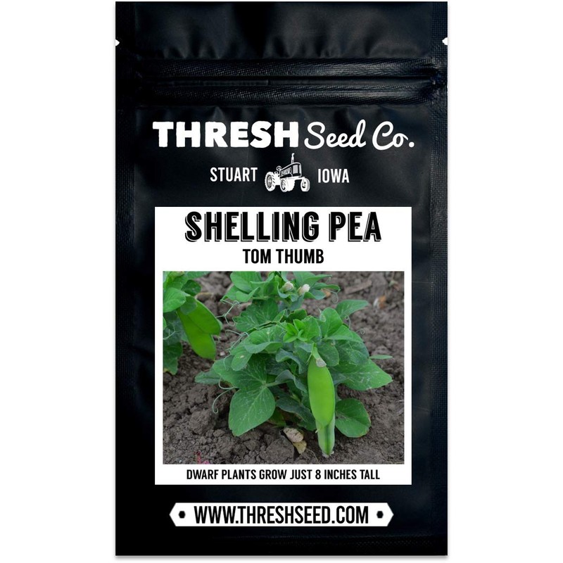 Tom Thumb Pea - 25 Seeds