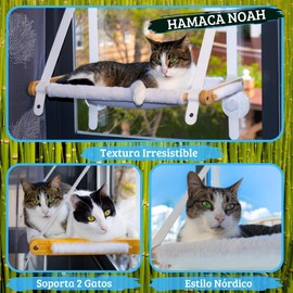 Budosín Hängematte für Katze, Fenster, Katzenhängematte, Katzenbett, Fensterbett für Katzen, Katzenbett, Katzenbett, Katzenzubehör, Hängematte mit Fenster (Nordico Plüsch), 1 Stück