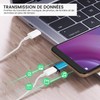 Jembe - Micro USB Female to USB C Male Converter