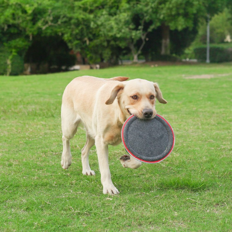 XGYLVFEI Small & Medium Dog Frisbee Dog Catch Toys/Floating Interactive