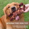 Unbranded Indestructible Dog Toys for Aggressive Chewers Extreme Tough Dog