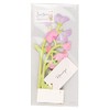 GreetingLife KE-37 Blooming Card Sweet Pea