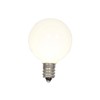 Vickerman G40 Warm White Ceramic LED Replacement Bulb, Package of