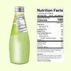 JANS - COCONUT MILK DRINK (with NATA DE COCO) MELON