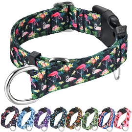 Fidohug Martingale Collar for Dogs Anti Pull Nylon Slip Hawaiian Tropical Designer Escape Proof Training Dog Collars (Flamingo, Small)