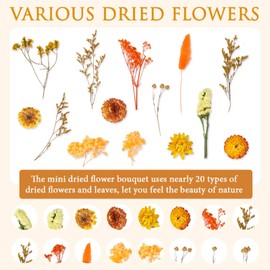 Lovmeety Yellow Dried Pressed Flowers Set, Natural Dried Flowers with Stems Mixed Hydrangeas Daisies Limonium Dry Flowers for Crafts DIY Arts Candles Resin Jewelry Pendant Crafts Making