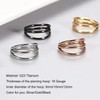PIERCINGFUN Titanium Triple Hoop Hinged Piercing Nose Rings 18G 10mm
