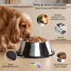 Fancy Pets Plato de Acero Inoxidable para Perro de Orejas