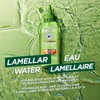 Garnier Fructis Sleek & Shine Glass Hair Water, 10 Seconds